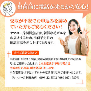 fn-40-003【出荷前にお電話します！】 活毛ガニ 3杯 (280～380ｇ×3) 三陸産【令和8年2月上旬～4月頃お届け】ヤマコー片桐鮮魚店 