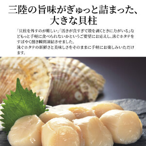 fn-39-002 泳ぐホタテの貝柱300g ヤマキイチ商店