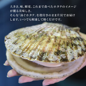 fn-39-004 泳ぐホタテのハーフシェル ヤマキイチ商店