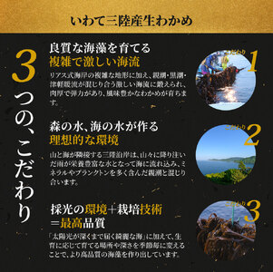fn-39-013 いわて三陸産生わかめ【2月上旬から3月中旬頃お届け便】 ヤマキイチ商店