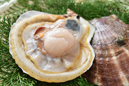 fn-39-021 泳ぐホタテと浜千鳥大吟醸セット ヤマキイチ商店