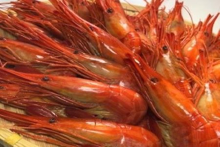 12月8日決済分まで年内配送 公式の 北海道根室産 北海しまえび400g前後 5p D 12月8日決済分まで年内配送 公式の 北海道根室産 北海しまえび400g前後 5p D