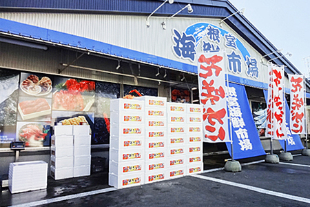 根室海鮮市場＜直送＞無添加むきたてエゾバフンウニ(黄系)塩水パック70～80g×1P A-28231