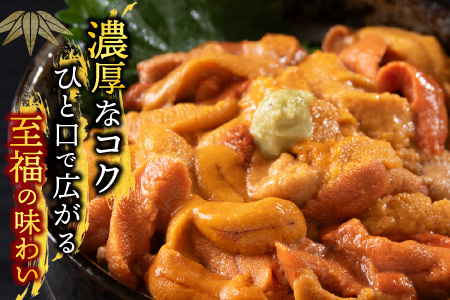 [12月17日決済分まで年内配送]バフンウニ(赤系)塩水パック95～105g×2P B-74002