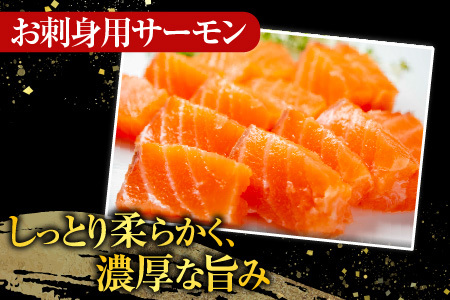 お刺身トラウトサーモン2~5本(計1kg)&鮭とば100g×9P F-09026