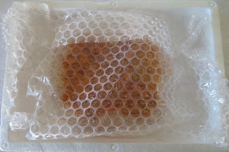 [12月21日決済分まで年内配送]エゾバフンウニ塩水パック80～90g×1P B-59018