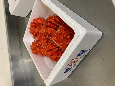 浜ゆで花咲がにオス・メス各1尾 A-60003