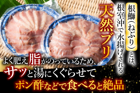 【12/31決済分まで1月中配送】 【北海道根室産】天然根鰤しゃぶセット A-42126