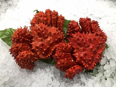 【北海道根室産】花咲がに500g前後×3尾(計1.5kg) ＜12月22日決済分まで年内配送＞ A-54013