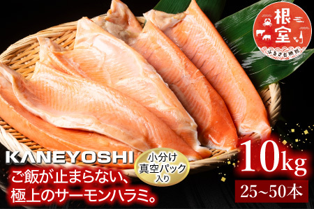 旨塩！とろサーモンハラミ10kg D-09006