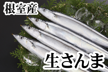 ＜12月22日決済分まで年内配送＞【北海道根室産】生さんま5尾×2P G-30001