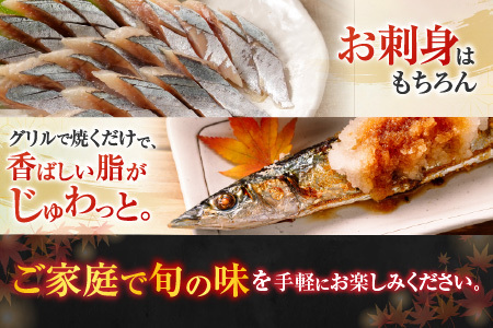 [12月21日決済分まで年内配送]【北海道根室産】冷凍生さんま5尾×2P G-30001