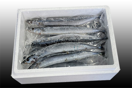 [12月21日決済分まで年内配送]【北海道根室産】冷凍生さんま5尾×2P G-36001