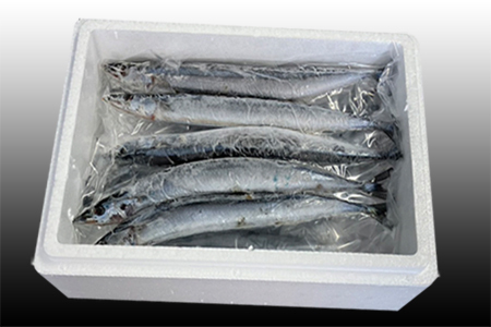 [12月21日決済分まで年内配送]【北海道根室産】冷凍生さんま5尾×2P G-76001