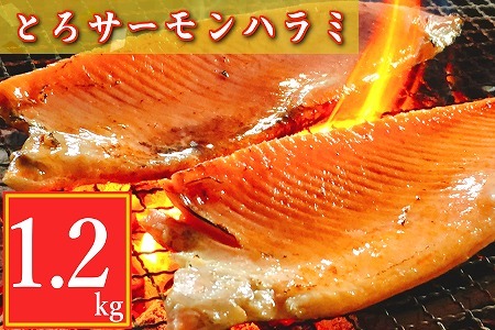 とろサーモンハラミ1.2kg ＜12月15日決済分まで年内配送＞ G-09006