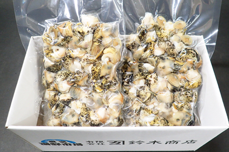 【北海道根室産】生食用灯台つぶ(ボイル済)250g×2P(計500g) G-14040