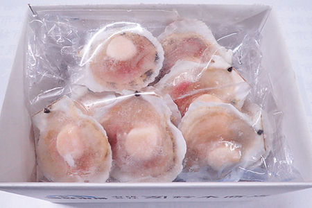 片貝ほたて10枚 G-14044