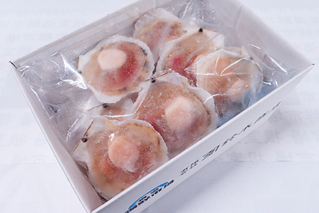 根室海鮮市場＜直送＞片貝ほたて10枚 G-28044