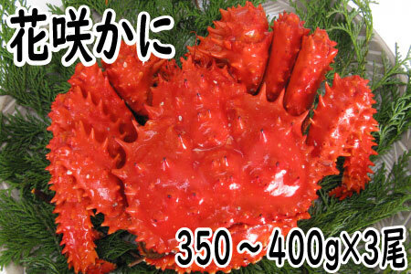 ＜12月22日決済分まで年内配送＞【北海道根室産】花咲かに350～400g×3尾 G-19001