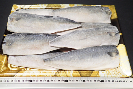 塩さばフィーレ11枚入×1P(計約1.5kg) G-14021