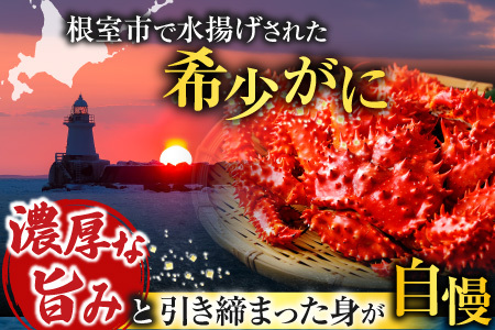 【北海道根室産】＜鮭匠ふじい＞ボイル花咲がに2尾(計約700g) G-42010