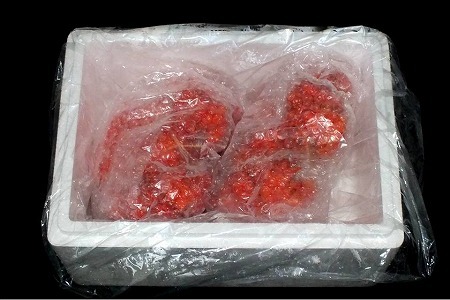 [12月21日決済分まで年内配送]【北海道根室産】＜鮭匠ふじい＞ボイル花咲がに2尾(計約700g) G-42010