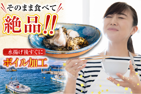 【北海道根室産】灯台つぶ200g×4P(計800g) A-20006