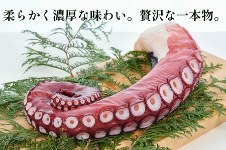 [12月14日決済分まで年内配送]【北海道根室産】ボイル水たこ足1本(1kg) A-20007