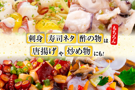 【北海道根室産】ボイル水たこ足1本(1kg) A-20007