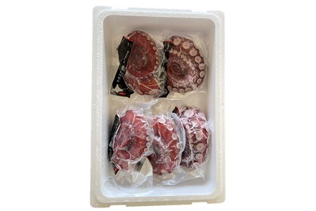 【12/31決済分まで1月中配送】 【北海道根室産】ボイル水たこ足先5P(計1.6kg) B-20006