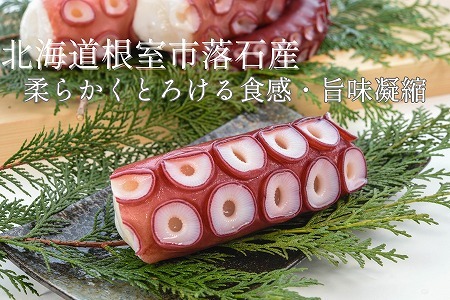 【北海道根室産】ボイル水たこ足ブロック4P(計1.8kg) C-20005