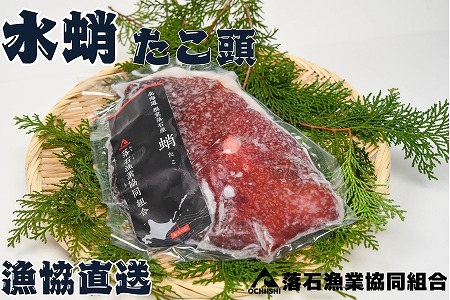 【12/31決済分まで1月中配送】 【北海道根室産】ボイル水たこ頭カット8P(計3.6kg) C-20002