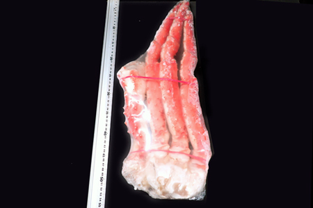 ボイル済み本タラバガニ1.8~2kg、生ずわいポーション500g(25~30本) D-14054