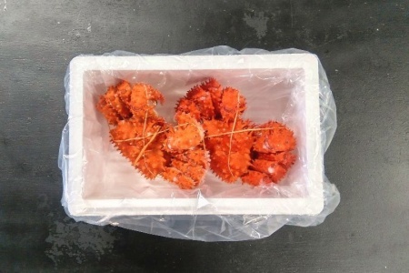 【12/31決済分まで1月中配送】 【北海道根室産】花咲ガニ300g×2尾 A-57060