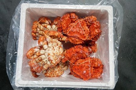【北海道根室産】花咲ガニ400g×6尾 C-57049