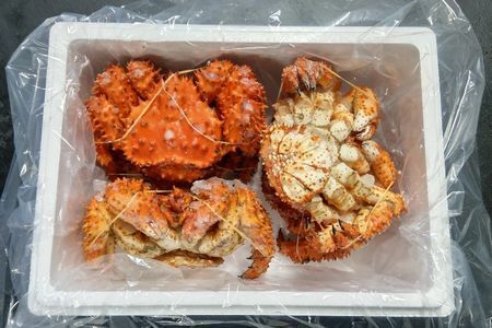 ＜12月21日決済分まで年内配送＞【北海道根室産】花咲ガニ450g×5尾 C-57050