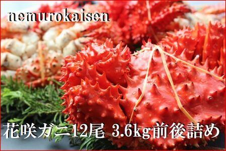【北海道根室産】花咲ガニ12尾(計3.6kg前後) C-57051