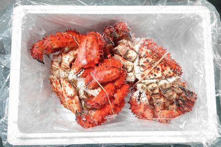 【12/31決済分まで1月中配送】 【北海道根室産】花咲ガニ(オス・メス)各1尾(計1.5kg前後) D-57041