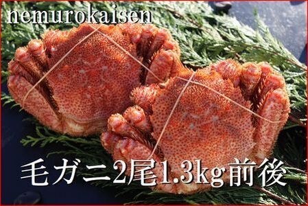 【北海道根室産】毛がに2尾(計1.3kg前後) D-57048
