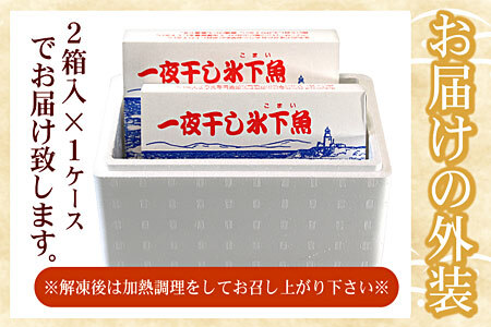 [12月21日決済分まで年内配送]一夜干こまい500g×2P G-07007