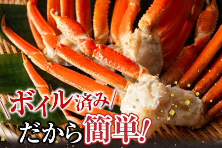 [12月10日決済分まで年内配送]ボイル本ずわいがに脚5肩(計約1.2kg) A-11246