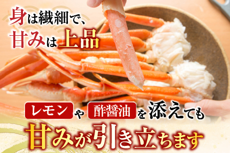 根室海鮮市場＜直送＞ボイル本ずわいがに脚5肩(計約1.2kg) A-28248