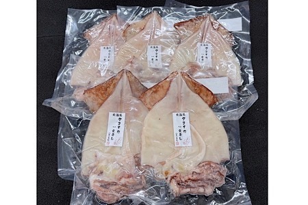 タコイカ開き一夜干し1枚×5P G-50004