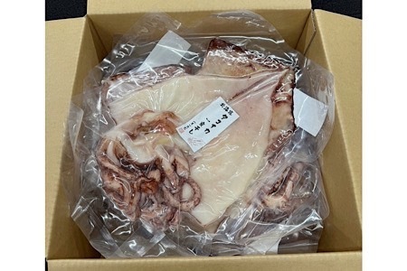 タコイカ開き一夜干し1枚×5P G-50004