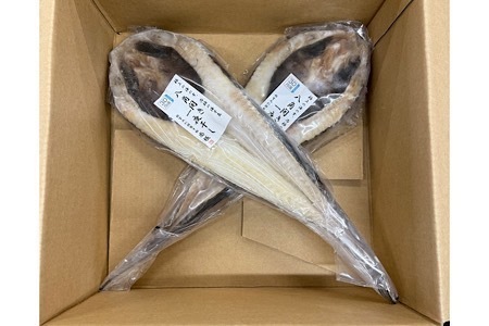 【12/31決済分まで1月中配送】 【北海道根室産】八角開き一夜干し1枚×2P G-50006