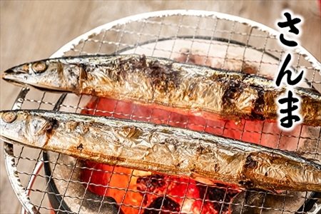 【北海道根室産】さんま明太2尾×3P・糠さんま3尾×3P・冷凍生さんま4尾×3P A-32042