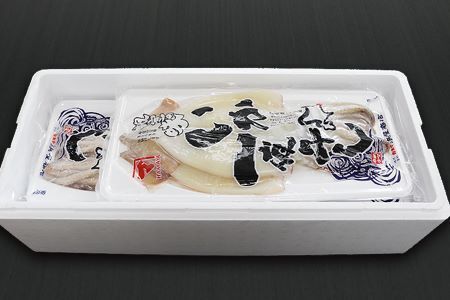 [12月17日決済分まで年内配送]いか一夜干し2枚×3P A-32043