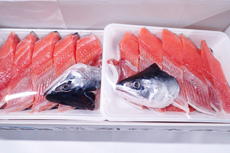 【北海道根室産】無添加天然時鮭(トキシラズ)1尾分切身(10～12切) B-14121