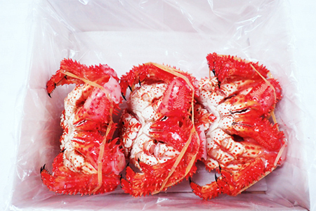 【北海道根室産】花咲ガニ400～500g×3尾 B-14122