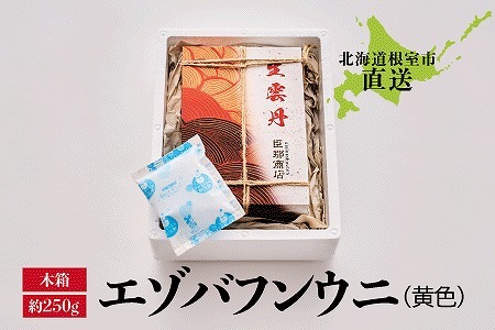 [12月17日決済分まで年内配送]エゾバフンウニ(黄色)約250g×1折 D-22001
